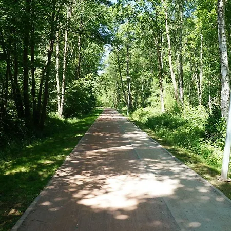 Polanki
